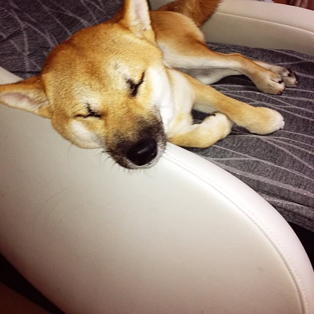 kotaさんの実例写真