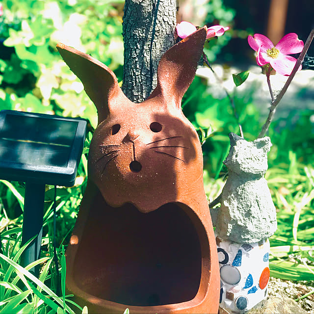 maroさんの実例写真