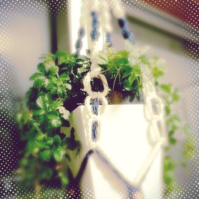 nodokaさんの実例写真