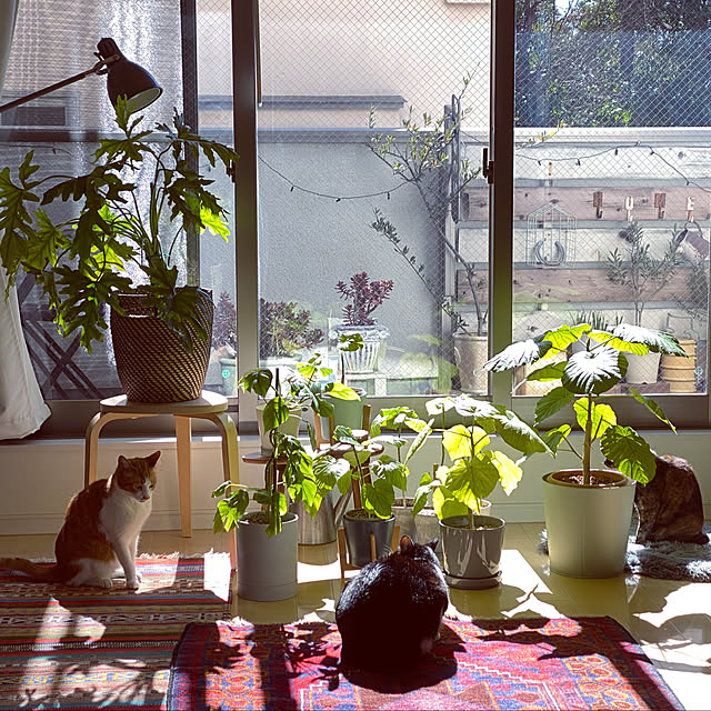 y.さんの部屋