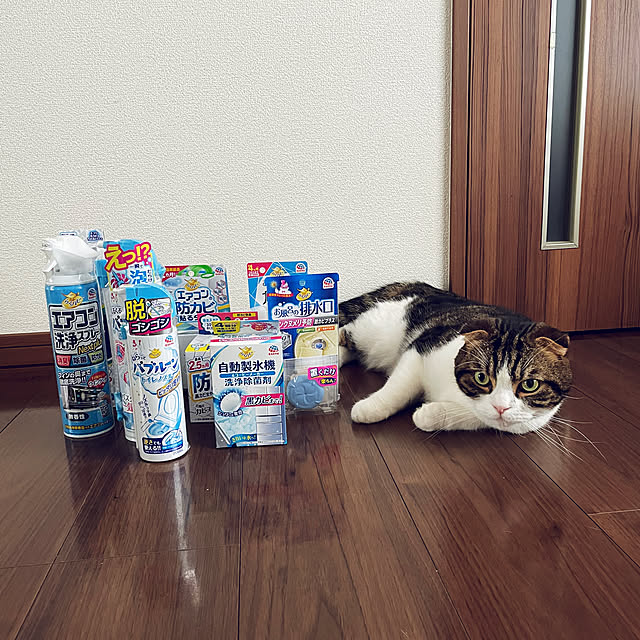tansukeさんの部屋