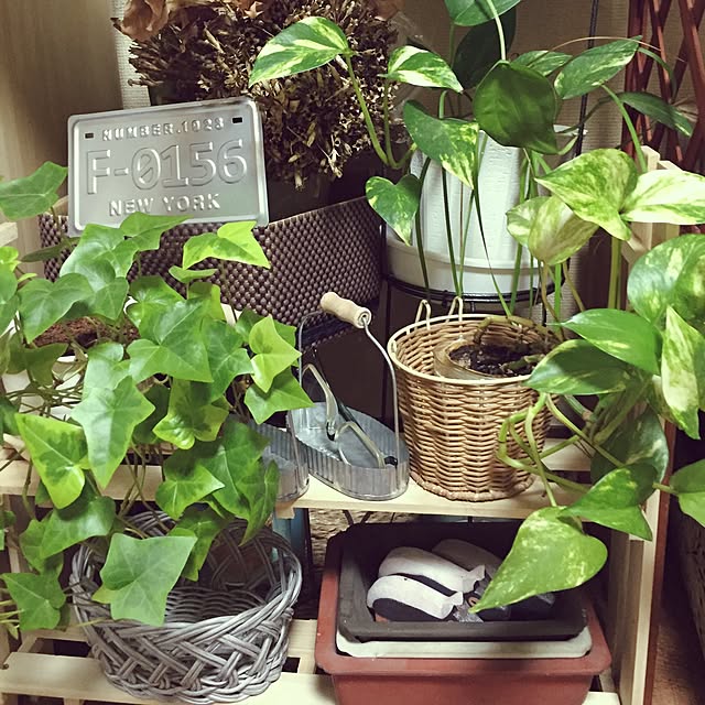 Norikoさんの実例写真