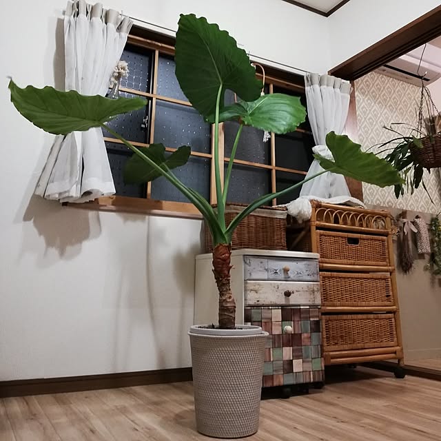 santamamaさんの部屋
