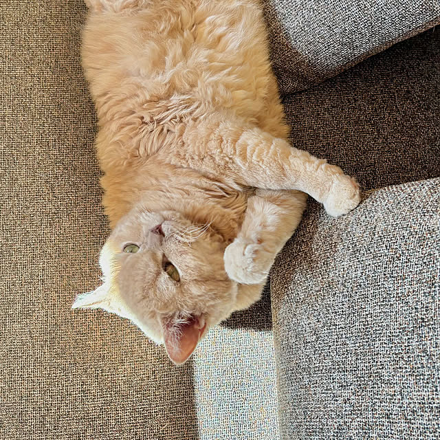 naokoさんの部屋