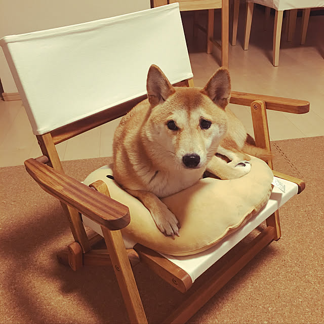 emtokさんの実例写真
