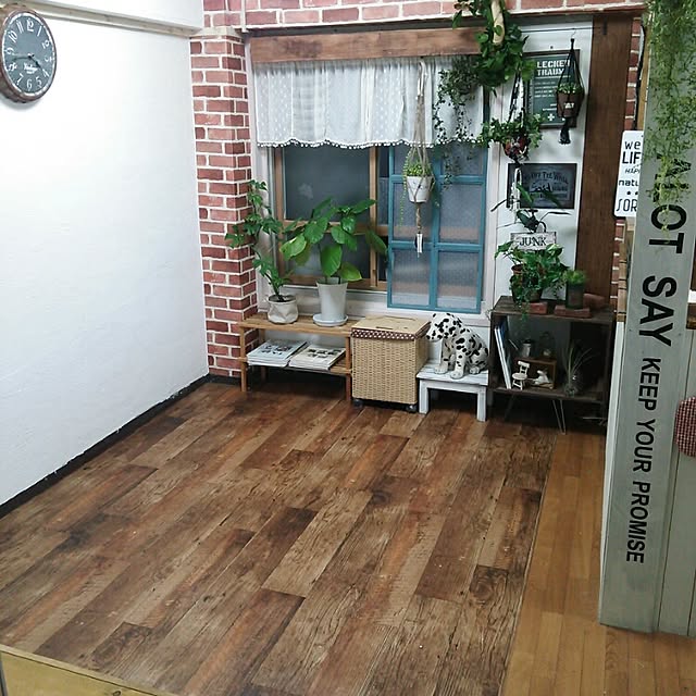 soraさんの実例写真