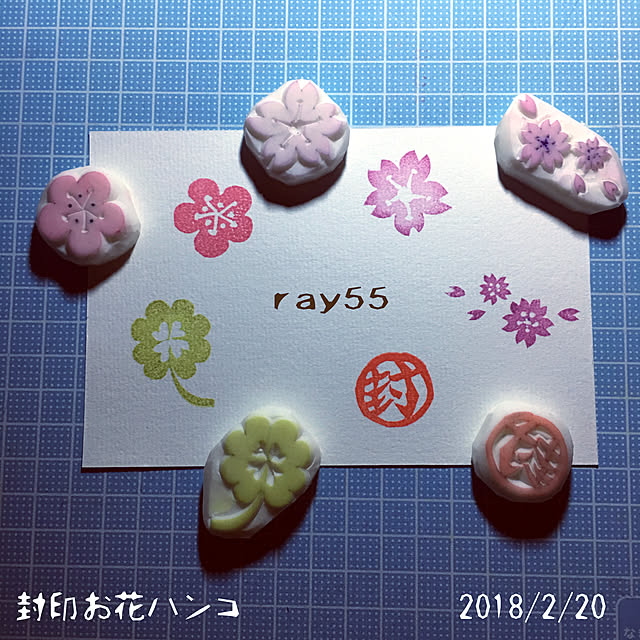 ray55さんの実例写真