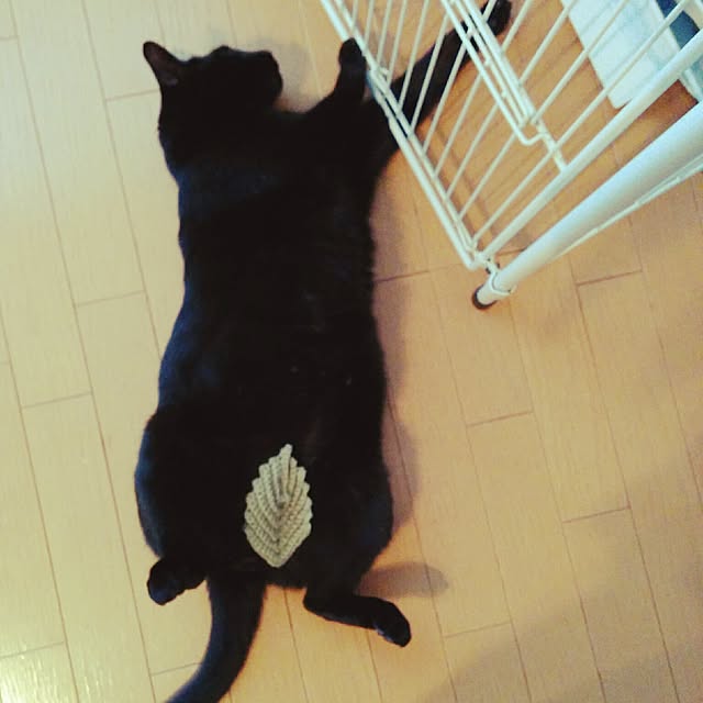 mametarouさんの実例写真