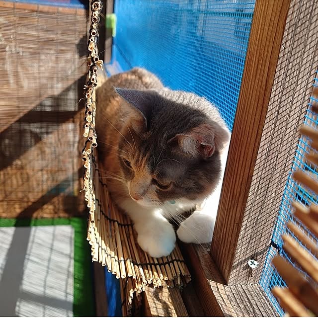 fukuさんの部屋