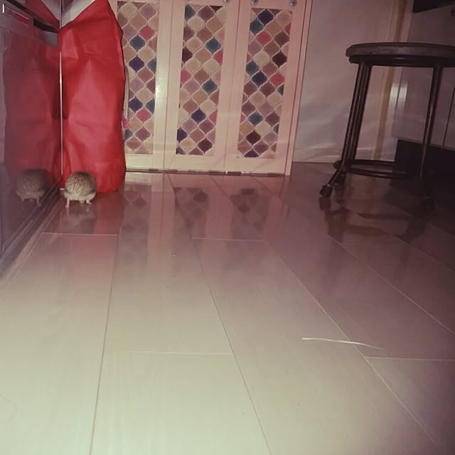 kuruさんの実例写真