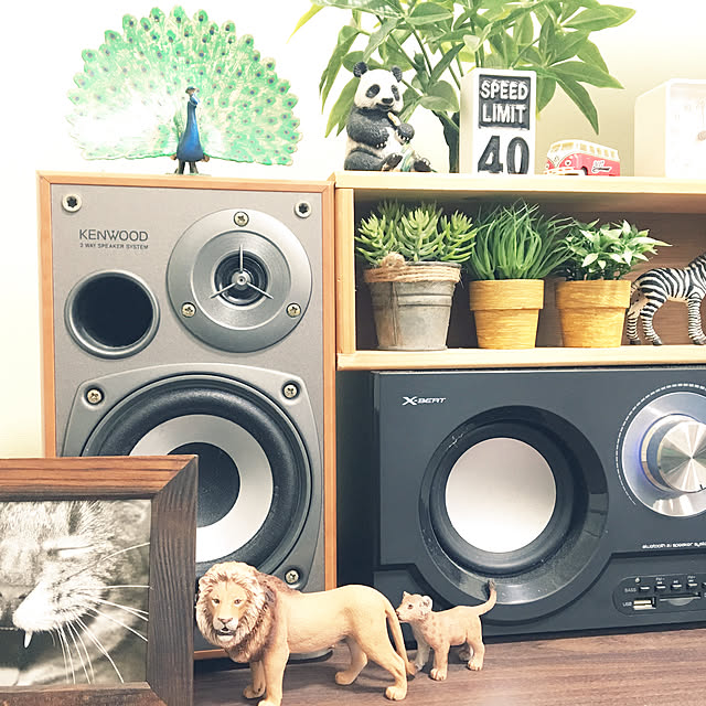 studiomiiさんの実例写真