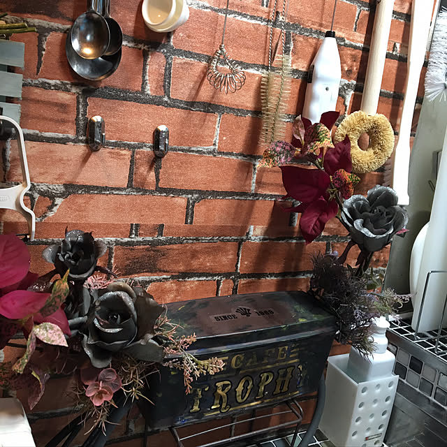 dainaoreiさんの実例写真