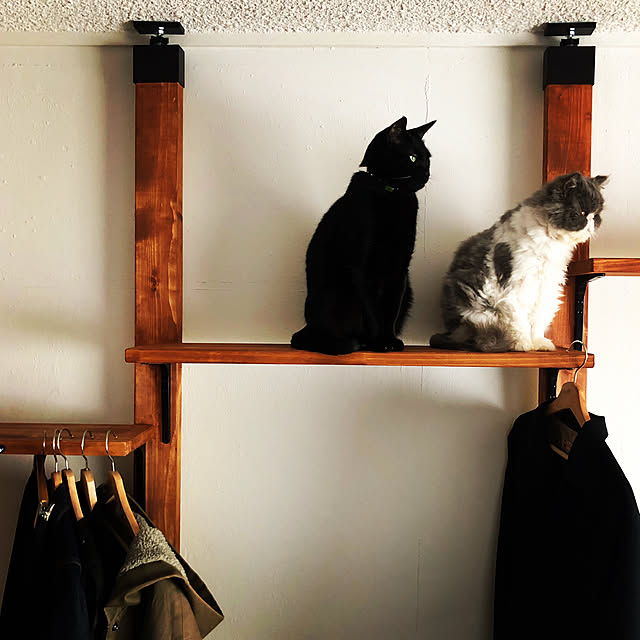 kmmyさんの実例写真