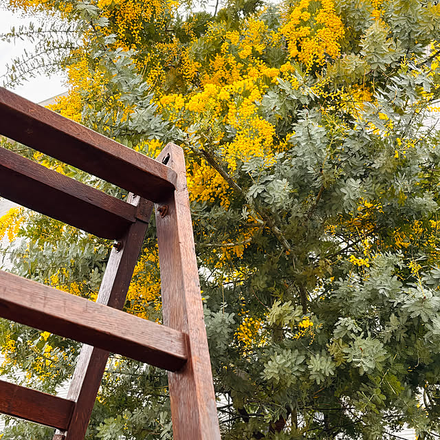 madeleineさんの実例写真