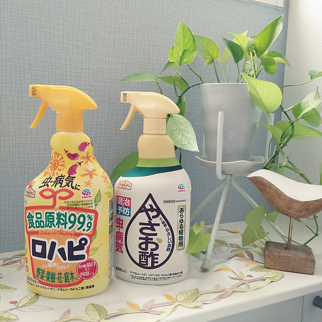 tan5さんの実例写真