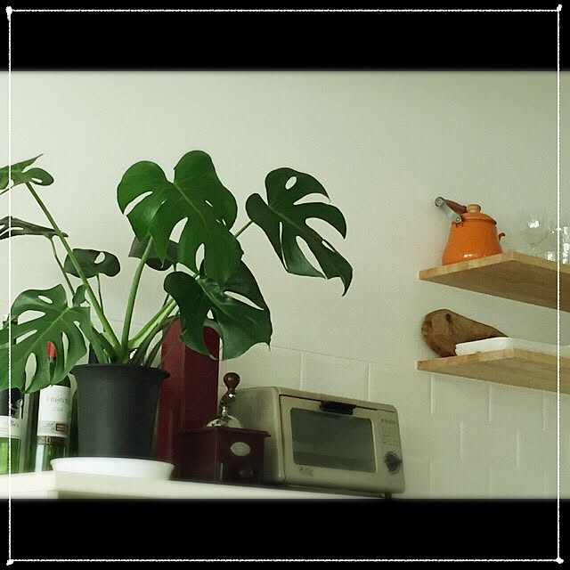 skyさんの実例写真
