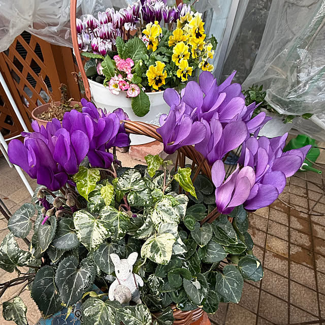 Aqettyさんの部屋