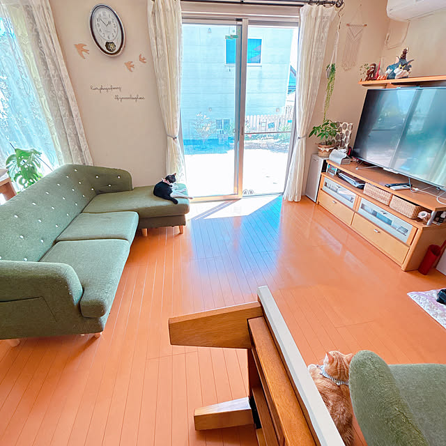 moolさんの部屋