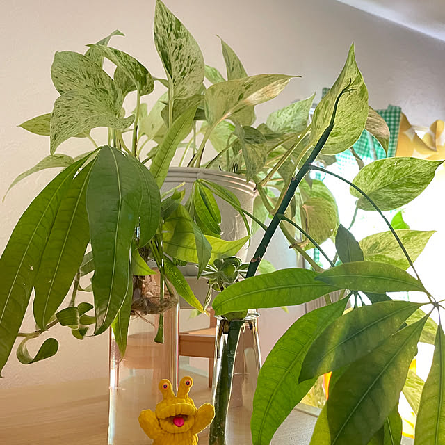 c.cさんの実例写真