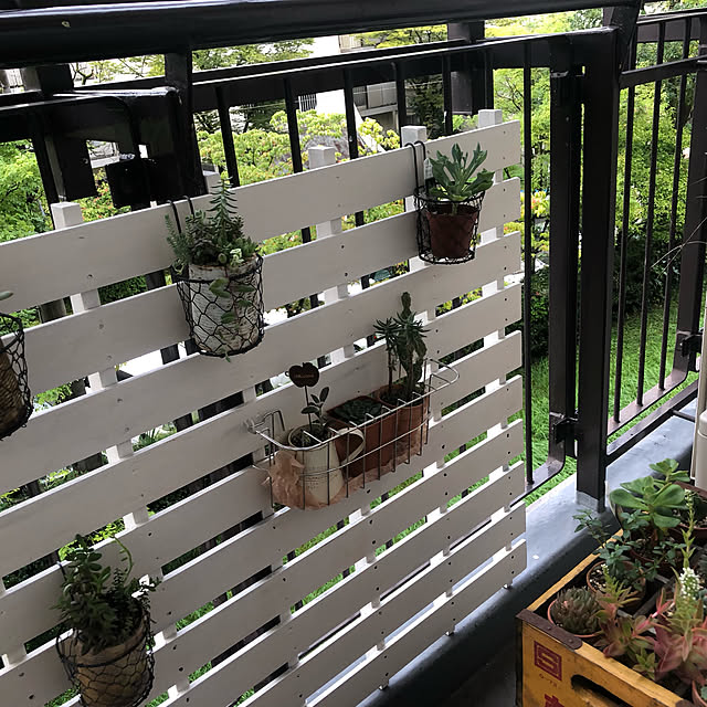 fgtomatoes0560さんの実例写真