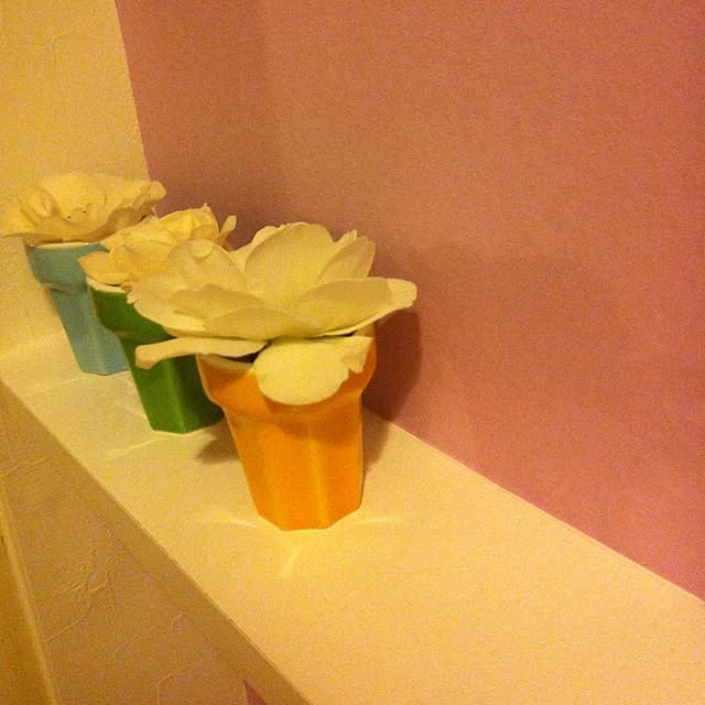 Mrsrerereさんの実例写真