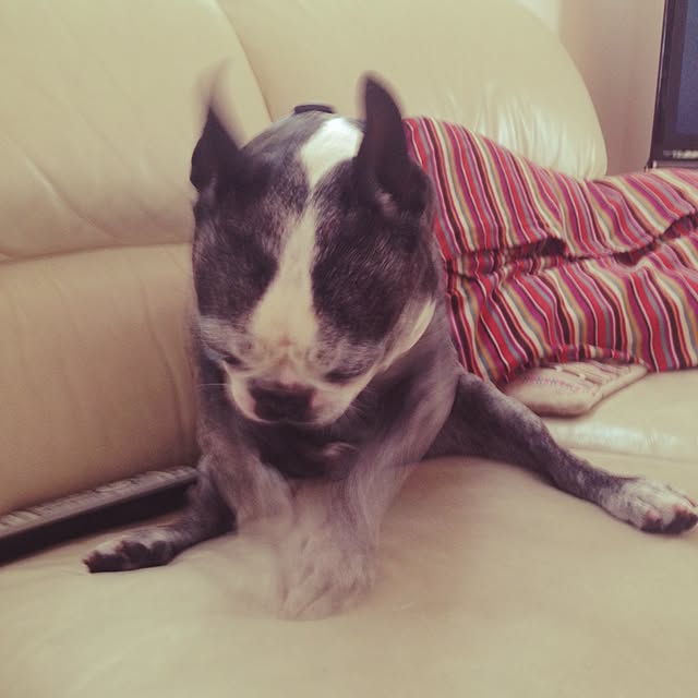 yumiさんの実例写真