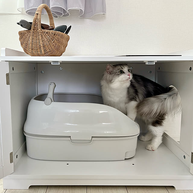 cotoriさんの部屋