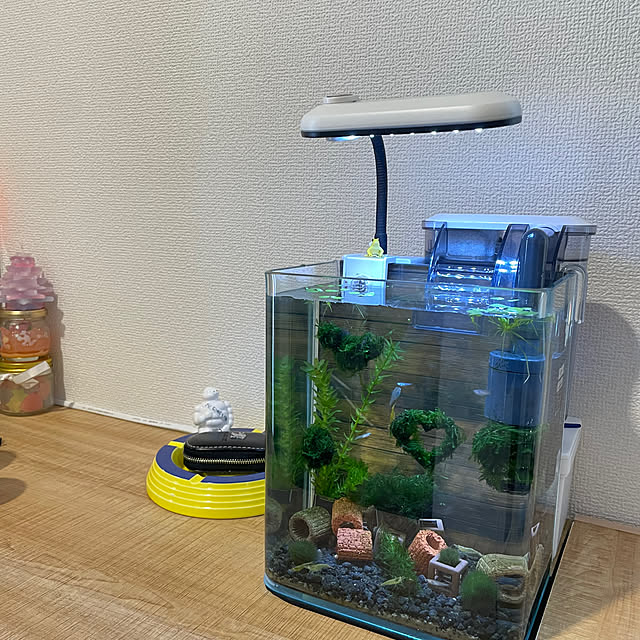 abap845さんの実例写真