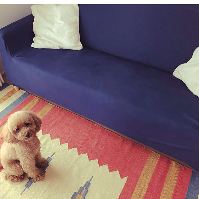 S.fam_houseさんの実例写真