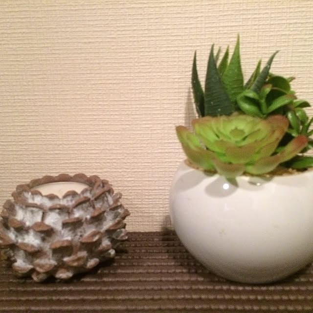 toraさんの実例写真