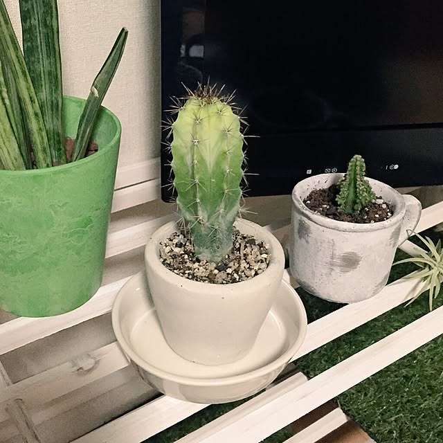 sayaさんの実例写真