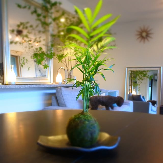 greenlife_fさんの実例写真