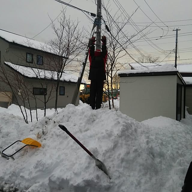 yukkoさんの実例写真