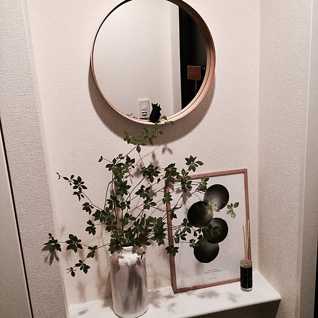 chapiさんの実例写真