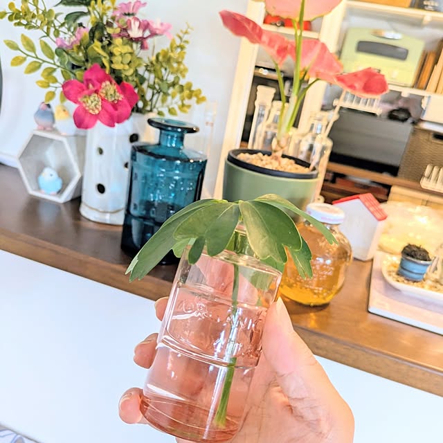 mi-saさんの部屋