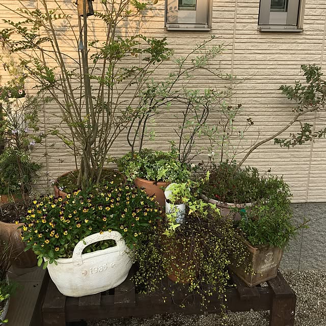 sanw2225719さんの実例写真