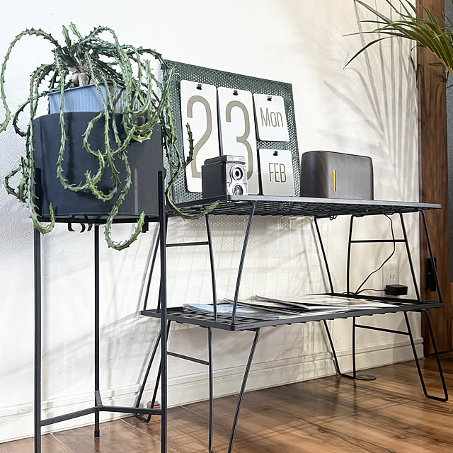 shiratamaさんの実例写真