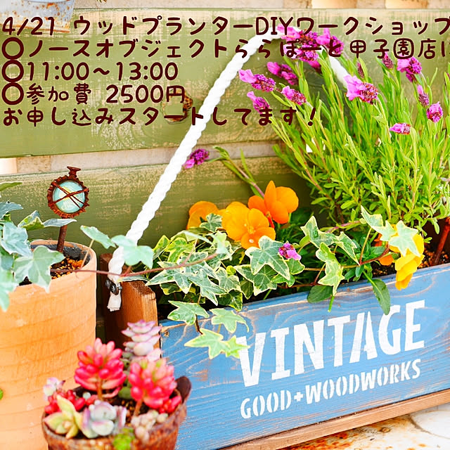 andante365さんの実例写真