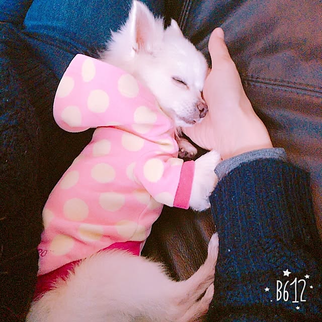Ayaさんの実例写真