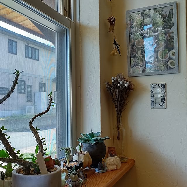 t.yumiさんの実例写真