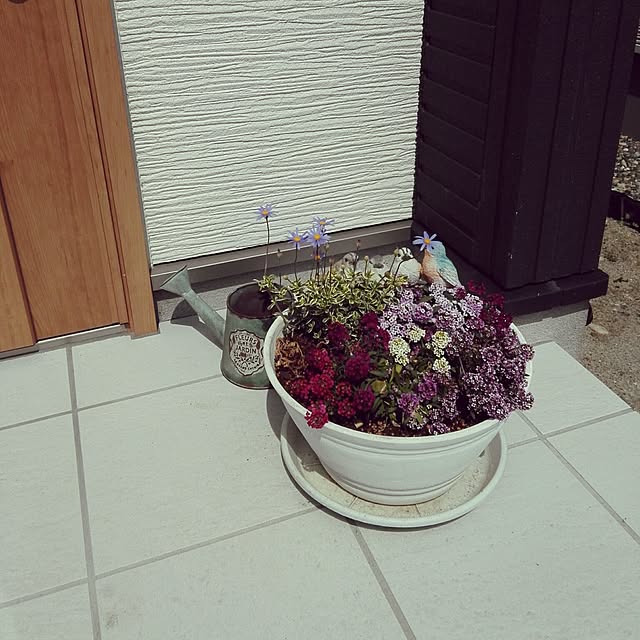 pitaさんの実例写真