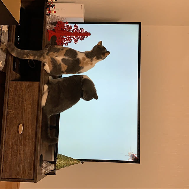 vamovamo.394さんの実例写真