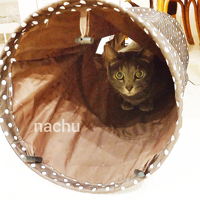 nachuさんの実例写真