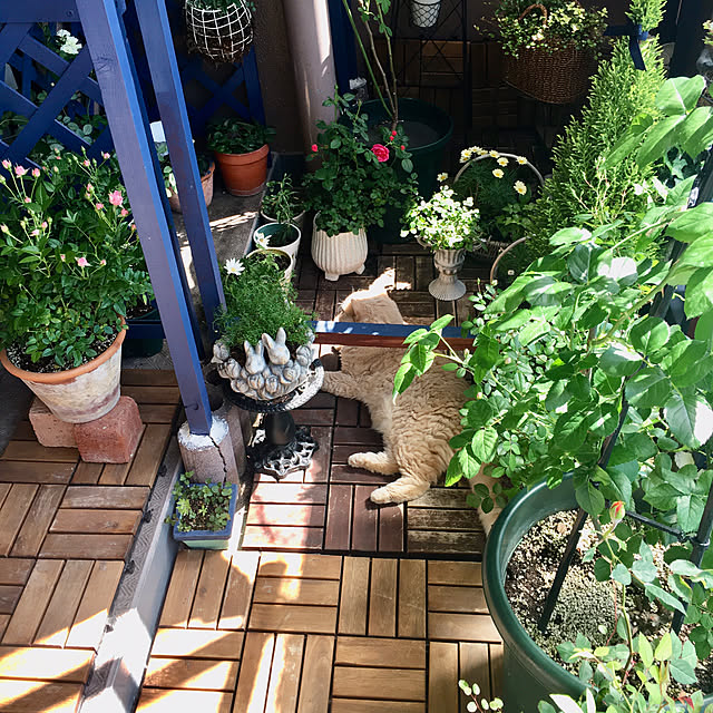 naokoさんの部屋