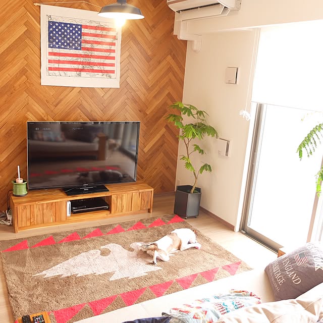 hara0707さんの実例写真