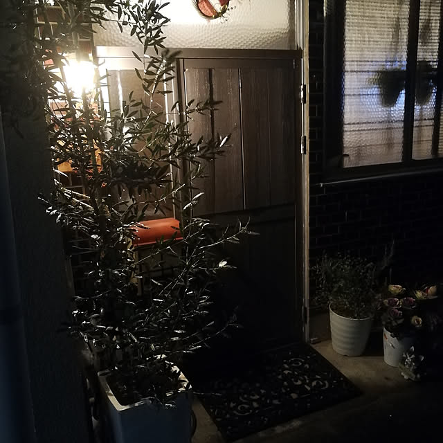kohapapaさんの実例写真