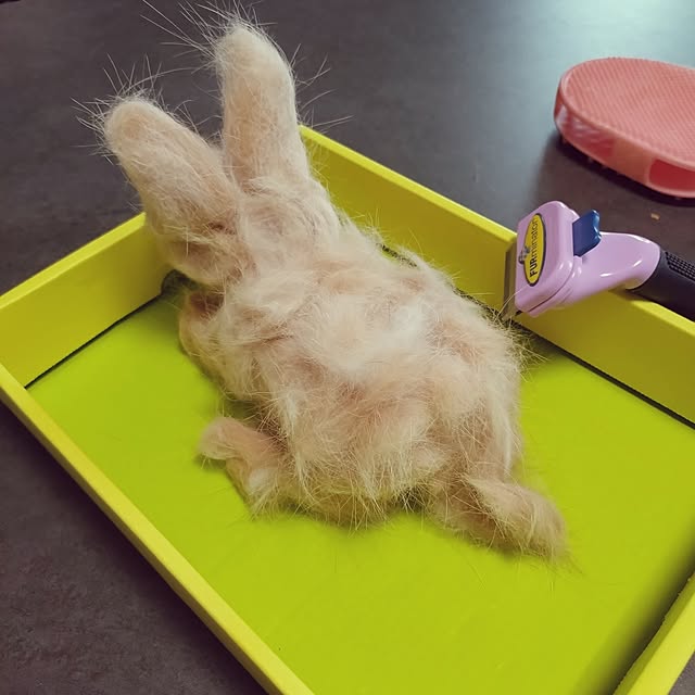 NOAHさんの部屋