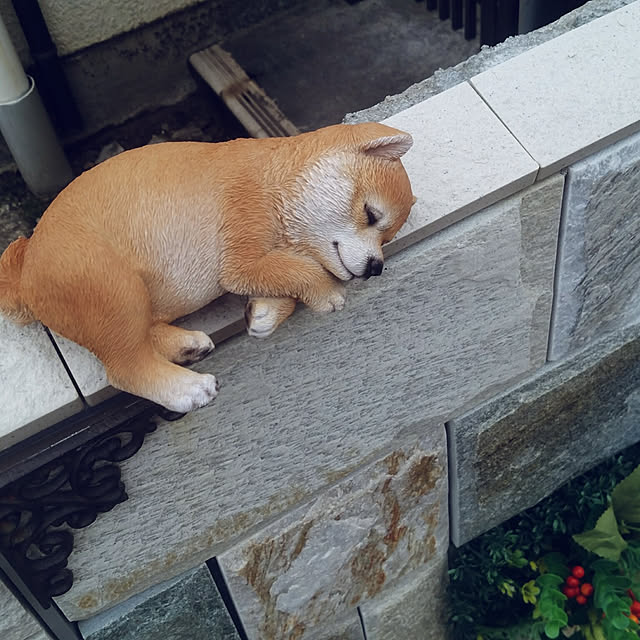 ohta-taroさんの実例写真