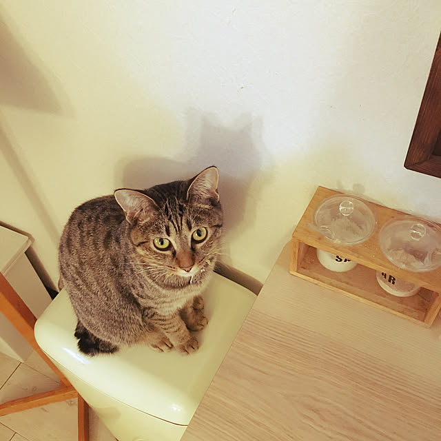 Mさんの実例写真