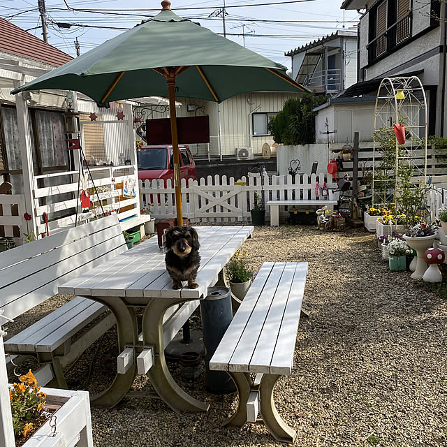 pattyさんの実例写真